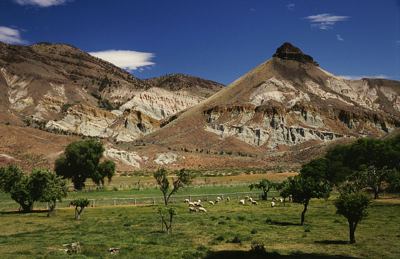 Sheep Rock