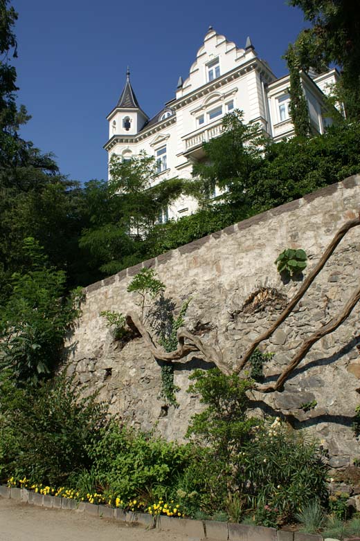 Botanical gardens, Merano