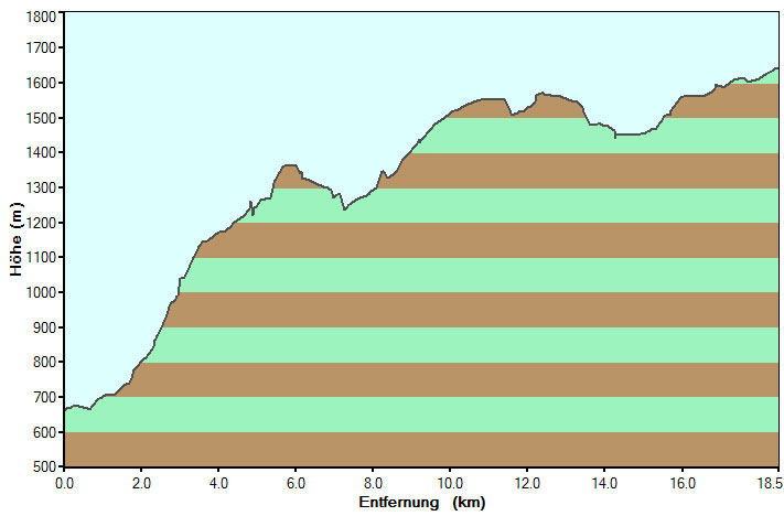 Day 1 Profile