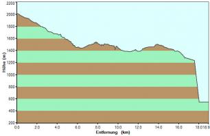 Day 4 Profile